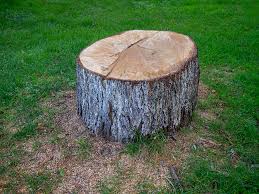 Best Hazardous Tree Removal  in Fairmont, WV